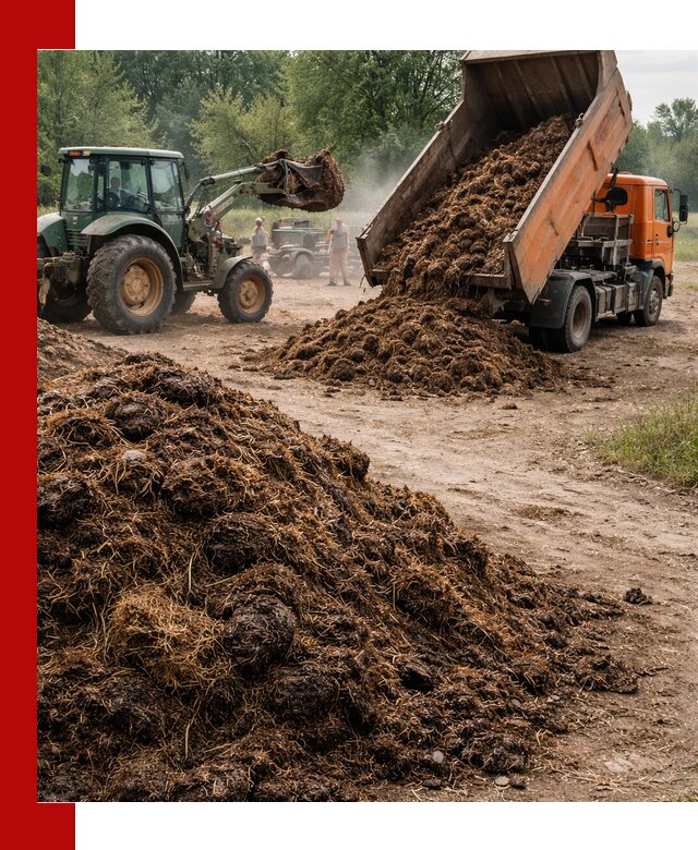 Доставка навоза самосвалами в Кашире для сельхозпотребностей